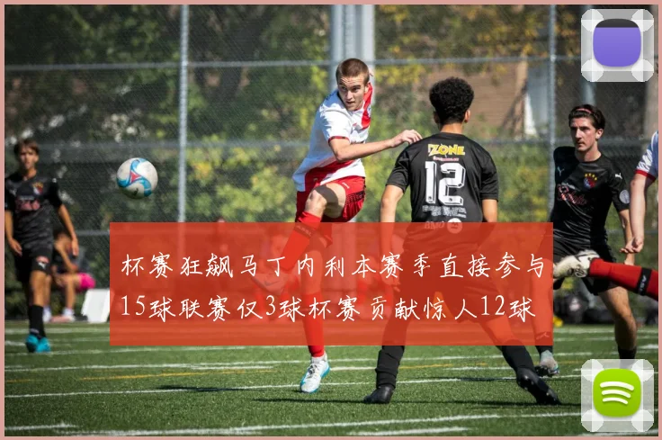 杯赛狂飙马丁内利本赛季直接参与15球联赛仅3球杯赛贡献惊人12球