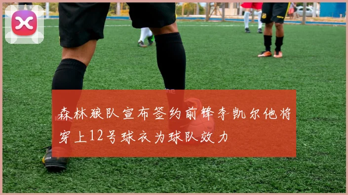 森林狼队宣布签约前锋李凯尔他将穿上12号球衣为球队效力